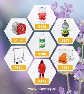 35 woorden ad_SEPT2026